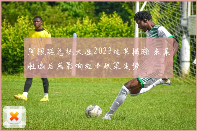 阿根廷总统大选2023结果揭晓 米莱胜选后或影响经济政策走势
